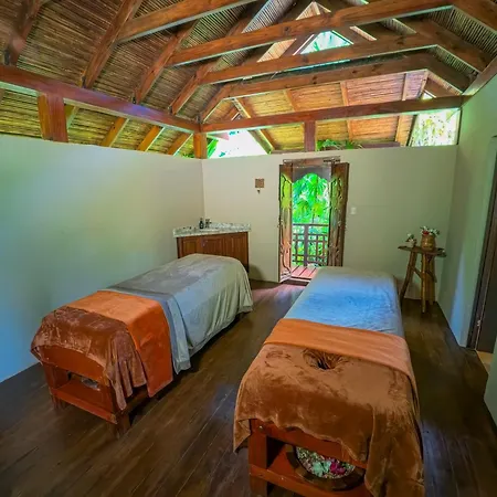 Lost Iguana Resort And Spa-2